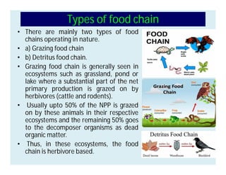 Types of food chain
• There are mainly two types of food
chains operating in nature.
• a) Grazing food chain
• b) Detritus food chain.
• Grazing food chain is generally seen in
ecosystems such as grassland, pond or
lake where a substantial part of the net
primary production is grazed on by
herbivores (cattle and rodents).
• Usually upto 50% of the NPP is grazed
on by these animals in their respective
ecosystems and the remaining 50% goes
to the decomposer organisms as dead
organic matter.
• Thus, in these ecosystems, the food
chain is herbivore based.
 