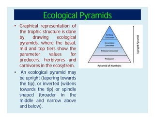 • Graphical representation of
the trophic structure is done
by drawing ecological
pyramids, where the basal,
mid and top tiers show the
parameter values for
producers, herbivores and
carnivores in the ecosytsem.
• An ecological pyramid may
be upright (tapering towards
the tip), or inverted (widens
towards the tip) or spindle
shaped (broader in the
middle and narrow above
and below).
Ecological Pyramids
 
