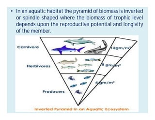 • In an aquatic habitat the pyramid of biomass is inverted
or spindle shaped where the biomass of trophic level
depends upon the reproductive potential and longivity
of the member.
 
