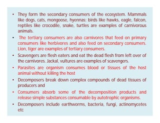 • They form the secondary consumers of the ecosystem. Mammals
like dogs, cats, mongoose, hyennas; birds like hawks, eagle, falcon,
reptiles like crocodile, snake, turtles are examples of carnivorous
animals.
• The tertiary consumers are also carnivores that feed on primary
consumers like herbivores and also feed on secondary consumers.
Lion, tiger are examples of tertiary consumers.
• Scavengers are flesh eaters and eat the dead flesh from left over of
the carnivores. Jackal, vultures are examples of scavengers.
• Parasites are organism consumes blood or tissues of the host
animal without killing the host
• Decomposers break down complex compounds of dead tissues of
producers and
• Consumers absorb some of the decomposition products and
release simple substances consumable by autotrophic organisms.
• Decomposers include earthworms, bacteria, fungi, actinomycetes
etc
 