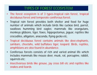 TYPES OF FOREST ECOSYSTEM
• The forest ecosystem is of 3 types-tropical rain forest, tropical
deciduous forest and temperate coniferous forest.
• Tropical rain forest provides both shelter and food for huge
number of animals which include birds like cuckoo bird, parrot,
swallows humming bird eagles; mammals like orangutans,
monkeys gibbons, tiger, foxes, hippopotamus, jaguar, reptiles like
crocodiles, alligators, anaconda, flying gecko etc.
• Tropical deciduous forest contains animals like deer,elephants,
sambars, cheetahs, wild buffaloes tiger, leopard. Birds, reptiles,
amphibians are also found in abundance.
• Coniferous forests consists of rich and varied animal life which
includes mammals like mouse deer, musk, rat, porcupine, rabbit,
squirrels etc;
• insectivorous birds like grouse, jay cross bill etc and reptiles like
snakes and lizards
 