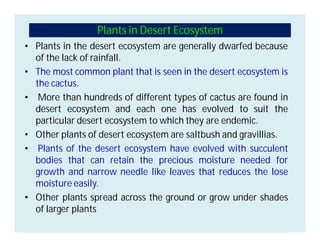 Plants in Desert Ecosystem
• Plants in the desert ecosystem are generally dwarfed because
of the lack of rainfall.
• The most common plant that is seen in the desert ecosystem is
the cactus.
• More than hundreds of different types of cactus are found in
desert ecosystem and each one has evolved to suit the
particular desert ecosystem to which they are endemic.
• Other plants of desert ecosystem are saltbush and gravillias.
• Plants of the desert ecosystem have evolved with succulent
bodies that can retain the precious moisture needed for
growth and narrow needle like leaves that reduces the lose
moisture easily.
• Other plants spread across the ground or grow under shades
of larger plants
 