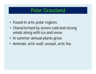 Polar Grassland
• Found in artic polar regions.
• Characterised by severe cold and strong
winds along with ice and snow.
• In summer annual plants grow.
• Animals- artic wolf, weasel, artic fox.
 