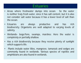 Estuaries
• Areas where freshwater dumps into ocean. So the water
is neither truly fresh water, since it has salt content, but it is also
not consider salt water because it has a lower level of salt than
the ocean.
• Estuaries are always productive and has rich
biodiversity. Organisms are well adapted to varying levels of
salinity.
• Wetlands- bogs/fens, swamps, marshes: Here the water is
completely or partially shallow.
• Has a rich biodiversity because they receive plenty of sunlight
which supports life.
• Plants include water lilies, mangrove, tamarack and sedges are
commonly found in wetlands. Various species of reptiles and
amphibians are also found in wetlands.
 