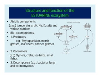 Structure and function of the
ESTUARINE ecosystem
• Abiotic components
(e.g.,) temperature, pH, Na, K, salts and
various nutrians
• Biotic components
• 1. Producers
• e.g., Phytoplankton, marsh
grasses, sea weeds, and sea grasses
• 2. Consumers
(e.g) Oysters, crabs, sea birds, small
fishes
• 3. Decomposers (e.g., bacteria, fungi
and actinomycetes
 