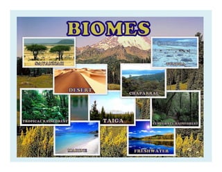 Unit 2 - EVS - Different type of Ecosystems | PDF