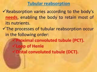 Tubular reabsorption
Reabsorption varies according to the body's
needs, enabling the body to retain most of
its nutrients.
The processes of tubular reabsorption occur
in the following order:
Proximal convoluted tubule (PCT).
Loop of Henle
Distal convoluted tubule (DCT).
 