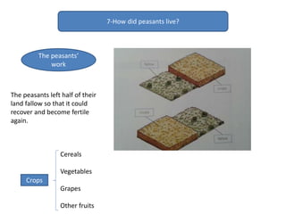 7-How did peasants live?
The peasants’
work
The peasants left half of their
land fallow so that it could
recover and become fertile
again.
Crops
Cereals
Vegetables
Grapes
Other fruits
 