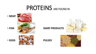 PROTEINS ARE FOUND IN
• MEAT
• FISH DAIRY PRODUCTS
• EGGS PULSES
 