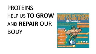 PROTEINS
HELP US TO GROW
AND REPAIR OUR
BODY
 