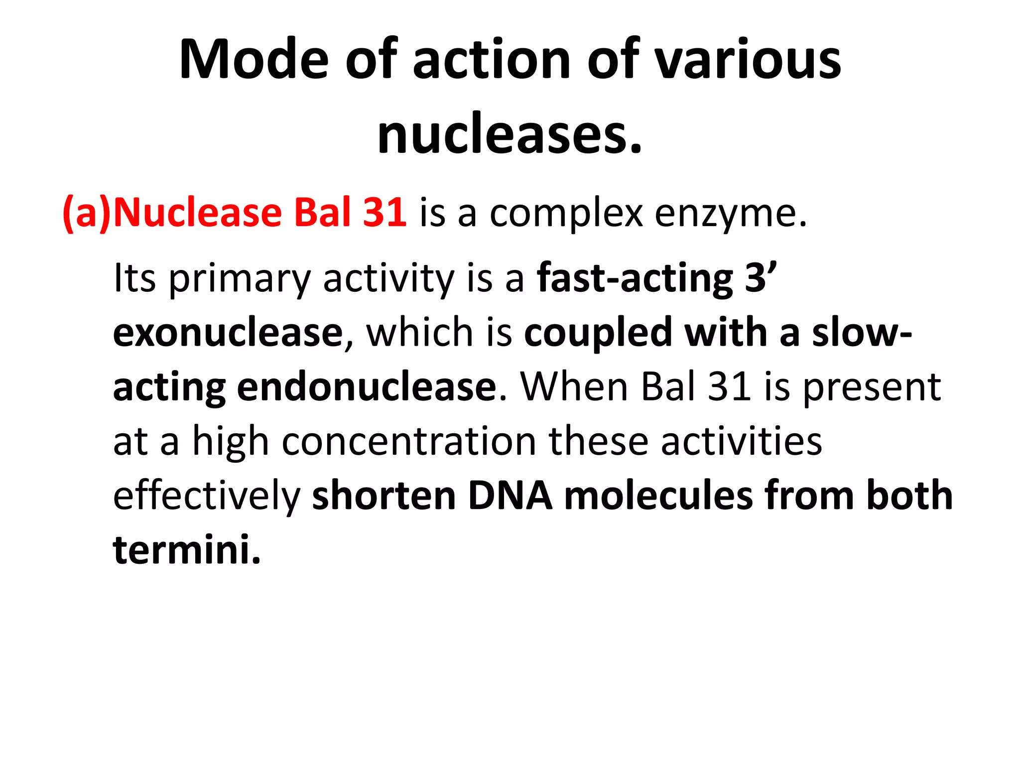 Mode of action of various
nucleases.
(a)Nuclease Bal 31 is a complex enzyme.
Its primary activity is a fast-acting 3’
exonuclease, which is coupled with a slow-
acting endonuclease. When Bal 31 is present
at a high concentration these activities
effectively shorten DNA molecules from both
termini.
 