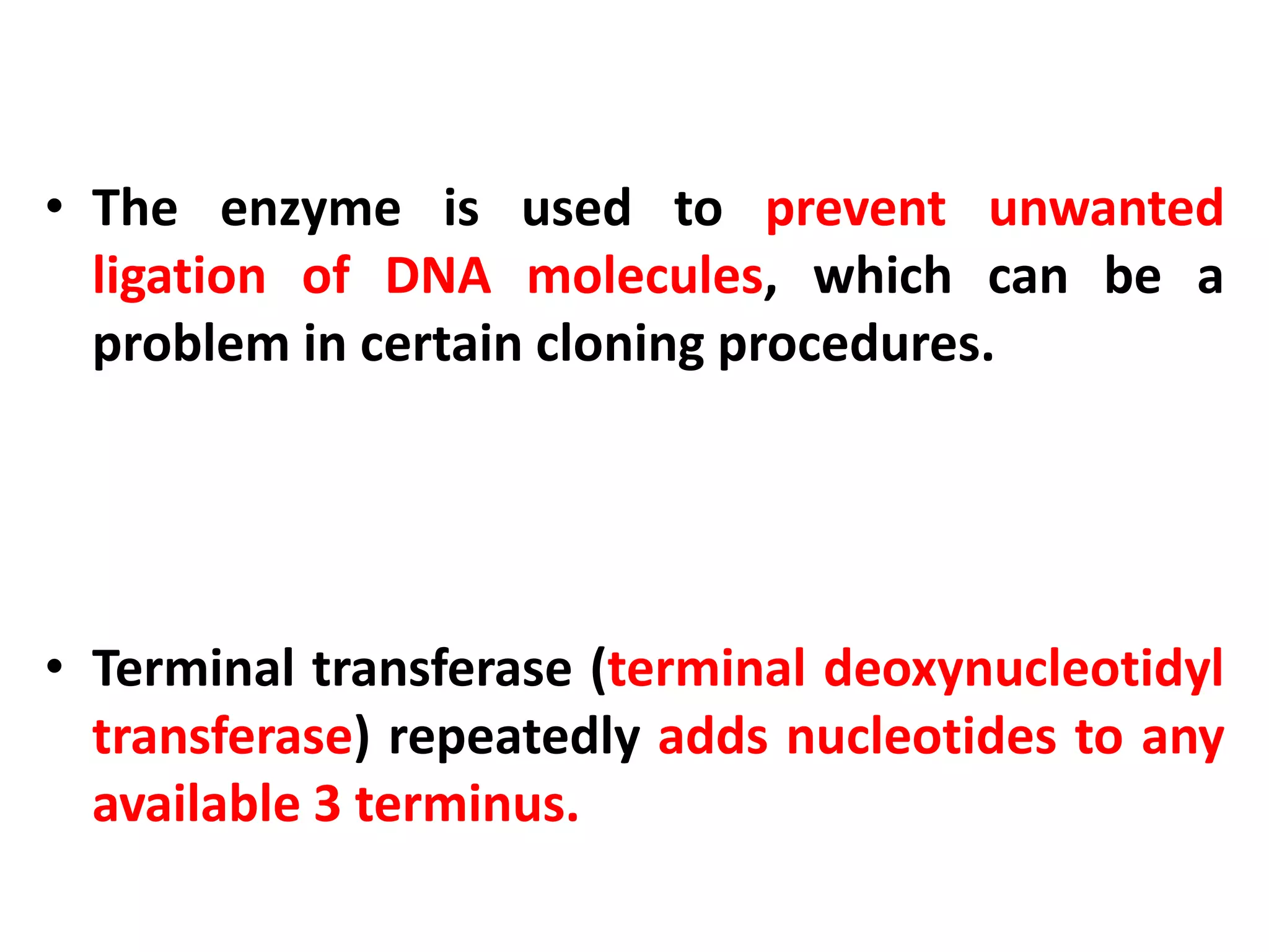 • The enzyme is used to prevent unwanted
ligation of DNA molecules, which can be a
problem in certain cloning procedures.
• Terminal transferase (terminal deoxynucleotidyl
transferase) repeatedly adds nucleotides to any
available 3 terminus.
 