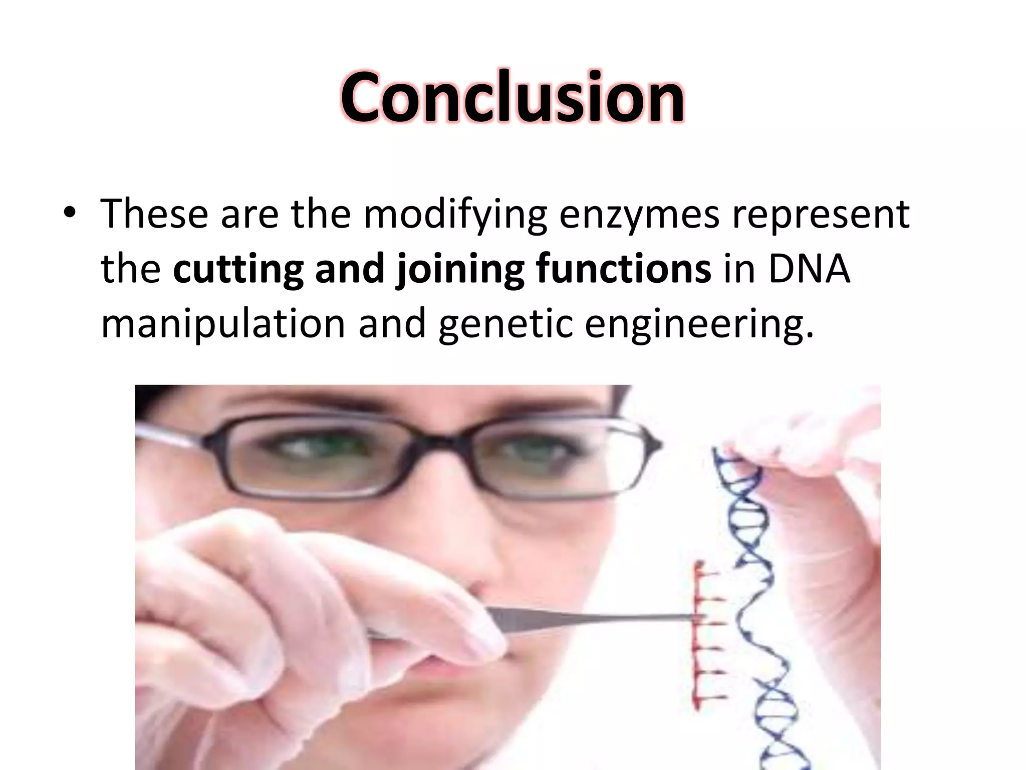 Conclusion
• These are the modifying enzymes represent
the cutting and joining functions in DNA
manipulation and genetic engineering.
 