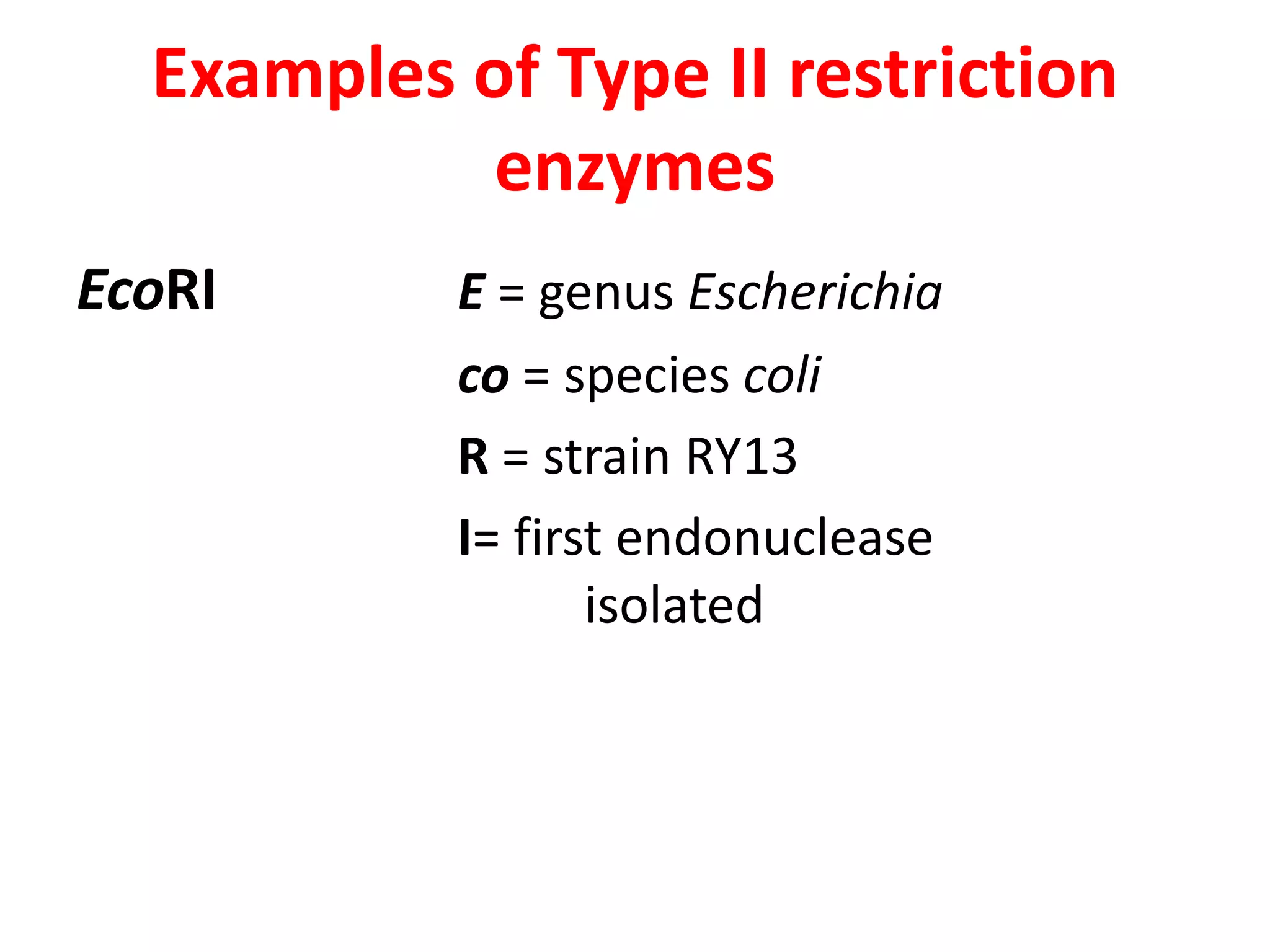 Examples of Type II restriction
enzymes
EcoRI E = genus Escherichia
co = species coli
R = strain RY13
I= first endonuclease
isolated
 