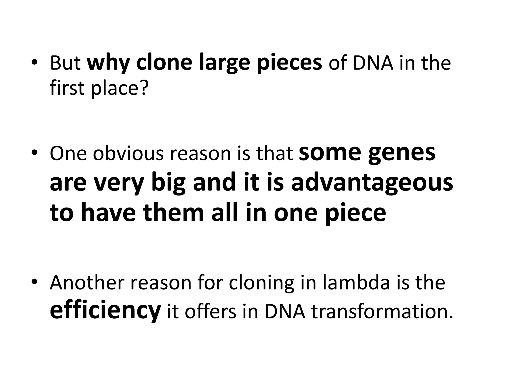 • But why clone large pieces of DNA in the
first place?
• One obvious reason is that some genes
are very big and it is advantageous
to have them all in one piece
• Another reason for cloning in lambda is the
efficiency it offers in DNA transformation.
 