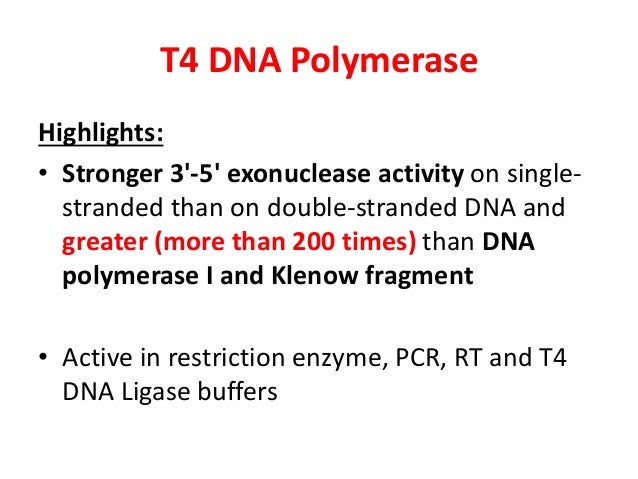 enzymes used in genetic engineering
