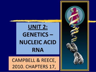 UNIT 2:
GENETICS –
NUCLEIC ACID
RNA
CAMPBELL & REECE,
2010. CHAPTERS 17,
 