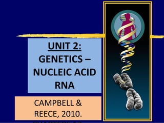 UNIT 2:
GENETICS –
NUCLEIC ACID
RNA
CAMPBELL &
REECE, 2010.
 