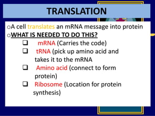 TRANSLATION
oA cell translates an mRNA message into protein
oWHAT IS NEEDED TO DO THIS?
 mRNA (Carries the code)
 tRNA (pick up amino acid and
takes it to the mRNA
 Amino acid (connect to form
protein)
 Ribosome (Location for protein
synthesis)
 