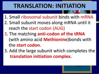 TRANSLATION: INITIATION
1. Small ribosomal subunit binds with mRNA
2. Small subunit moves along mRNA until it
reach the start codon (AUG)
3. The matching anti-codon of the tRNA
(with amino acid Methionine)bonds with
the start codon.
3. Add the large subunit which completes the
translation initiation complex.
 