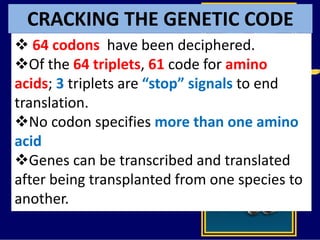 CRACKING THE GENETIC CODE
 64 codons have been deciphered.
Of the 64 triplets, 61 code for amino
acids; 3 triplets are “stop” signals to end
translation.
No codon specifies more than one amino
acid
Genes can be transcribed and translated
after being transplanted from one species to
another.
 