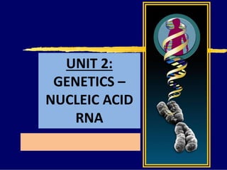 UNIT 2:
GENETICS –
NUCLEIC ACID
RNA
 