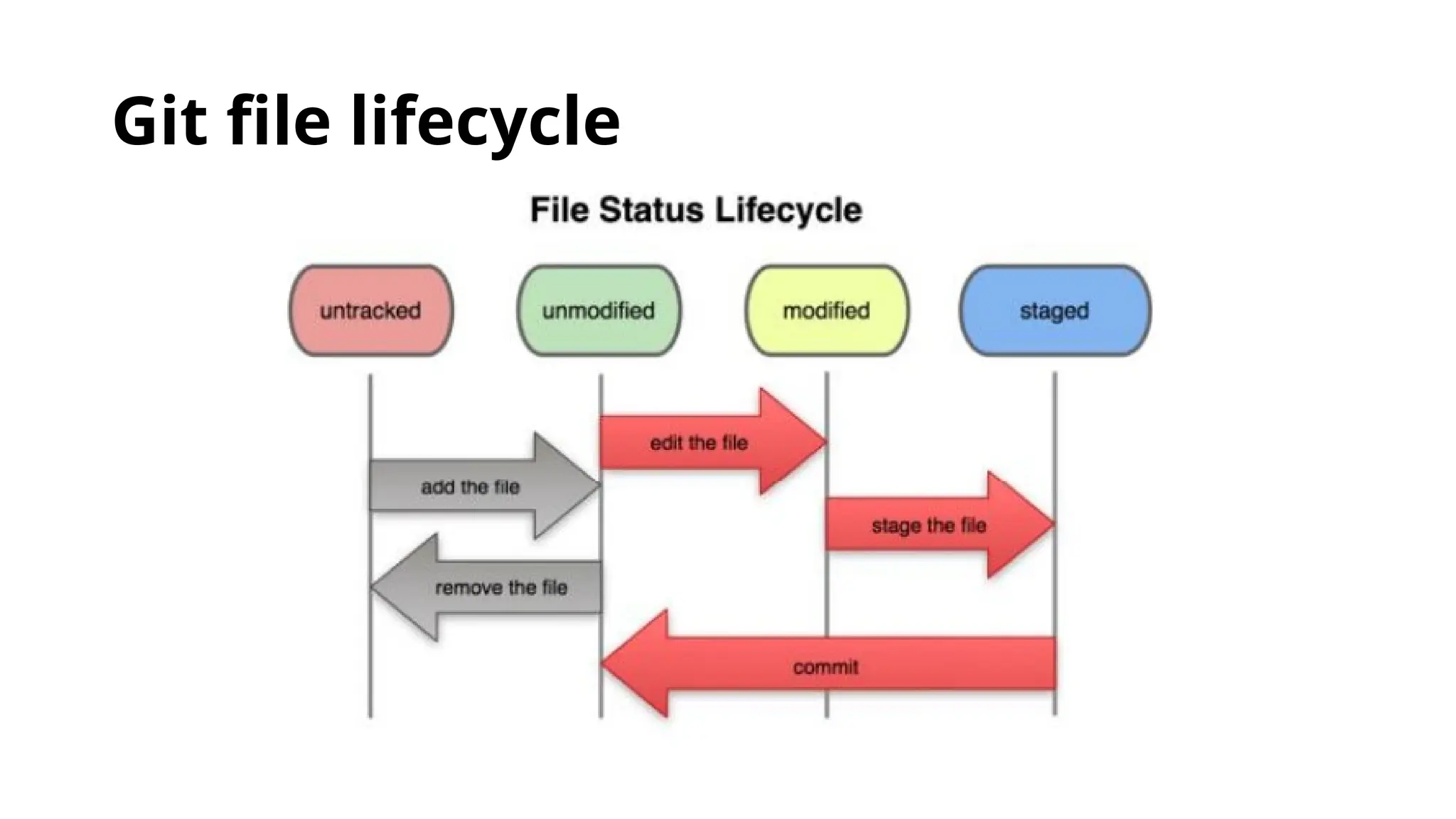 Git file lifecycle 