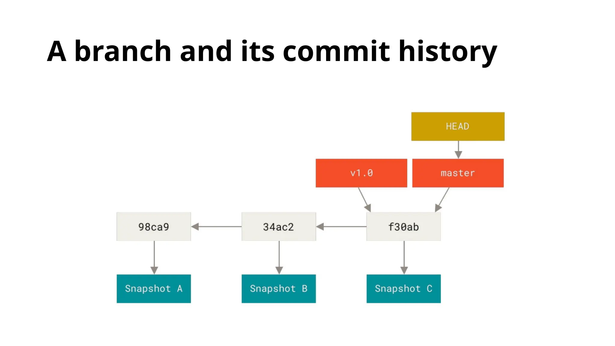 A branch and its commit history 