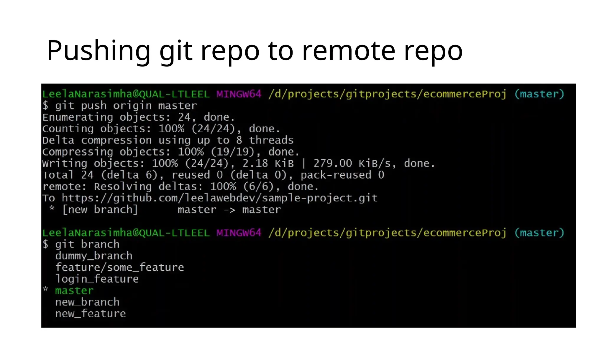 Pushing git repo to remote repo 