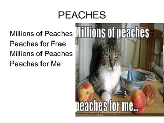 PEACHES Millions of Peaches Peaches for Free Millions of Peaches  Peaches for Me 