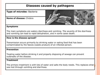 Diseases caused by pathogens 
Type of microbe: Bacteria 
Name of disease: Cholera 
Symptoms 
The main symptoms are watery diarrhoea and vomiting. The severity of the diarrhoea 
and vomiting can lead to rapid dehydration, and in some cases death. 
How is the disease spread? 
Transmission occurs primarily by drinking water or eating food that has been 
contaminated by the faeces (waste product) of an infected person. 
Prevention 
Treating water before drinking it and properly disposing of sewage can prevent 
outbreaks of the disease. 
Treatment 
The primary treatment is with lots of water and salts the body needs. This replaces what 
was lost through vomiting and diarrhoea. 
 