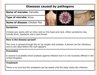 Diseases caused by pathogens 
Name of microbe: Varicella 
Type of microbe: Virus 
Name of disease: Chicken Pox 
Symptoms 
Chicken pox starts with an itchy rash on the head and neck. Other symptoms may 
include fever, headache and a sore throat. 
How is the disease spread? 
The virus is spread through the air by coughs and sneezes. A person can be infectious 
one to two days before the rash appears. 
Prevention 
A vaccine is available which protects against infection but it is not routinely offered in the 
United Kingdom. 
Treatment 
There is no cure but the symptoms can be eased until the body clears the infection. 
 