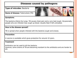 Diseases caused by pathogens 
Type of microbe: Bacteria 
Name of disease: Tuberculosis (TB) 
Symptoms 
The bacteria infects the lungs. TB causes chest pain and a very bad cough. Occasionally, 
people who are infected may cough up blood. Usually fatal if left untreated. 
How is the disease spread? 
TB is spread when people infected with the bacteria cough and sneeze. 
Prevention 
A vaccine is available which gives protection for around 10 years. 
Treatment 
Antibiotics can be used to kill the bacteria. 
However, some strains of TB are becoming resistant to the antibiotics and are harder to 
kill. 
 