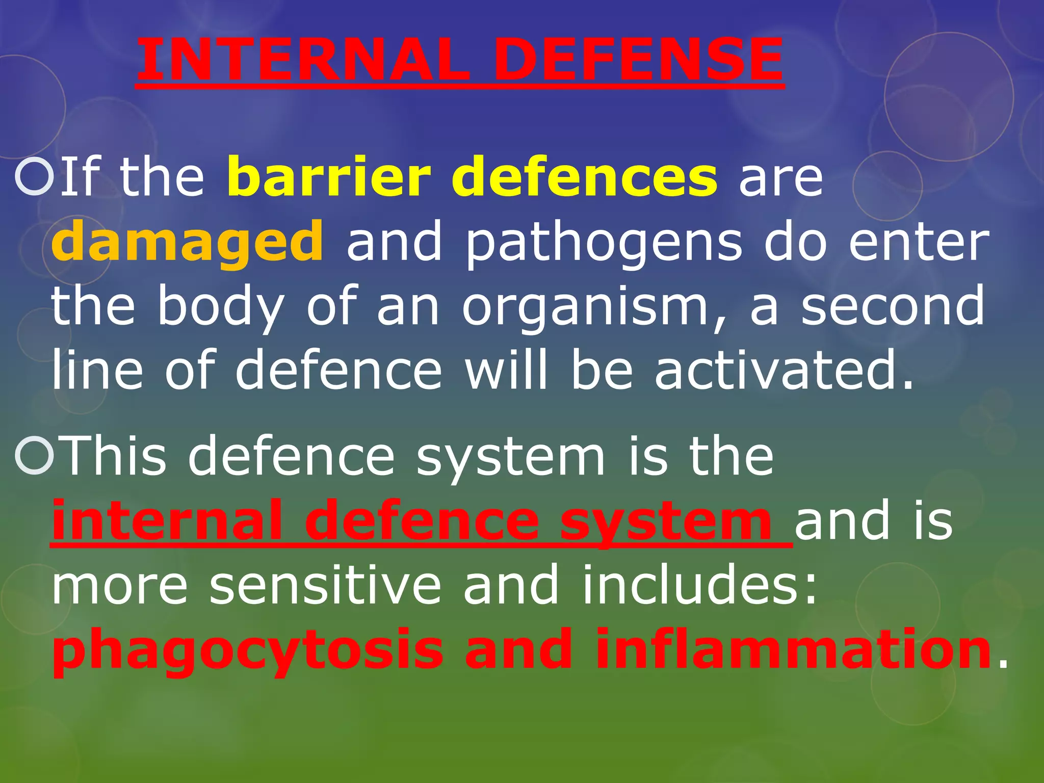 INTERNAL DEFENSE
If the barrier defences are
damaged and pathogens do enter
the body of an organism, a second
line of defence will be activated.
This defence system is the
internal defence system and is
more sensitive and includes:
phagocytosis and inflammation.
 