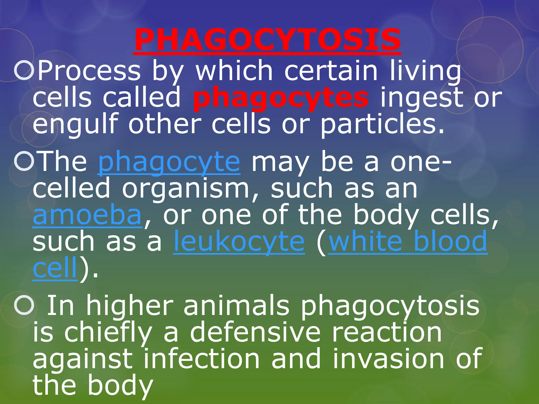 PHAGOCYTOSIS
Process by which certain living
cells called phagocytes ingest or
engulf other cells or particles.
The phagocyte may be a one-
celled organism, such as an
amoeba, or one of the body cells,
such as a leukocyte (white blood
cell).
 In higher animals phagocytosis
is chiefly a defensive reaction
against infection and invasion of
the body
 