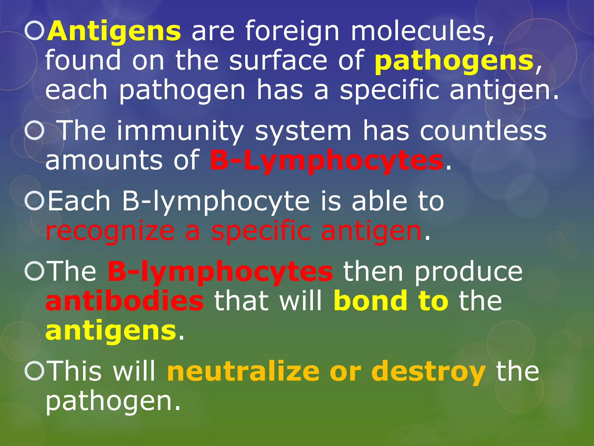 Antigens are foreign molecules,
found on the surface of pathogens,
each pathogen has a specific antigen.
 The immunity system has countless
amounts of B-Lymphocytes.
Each B-lymphocyte is able to
recognize a specific antigen.
The B-lymphocytes then produce
antibodies that will bond to the
antigens.
This will neutralize or destroy the
pathogen.
 