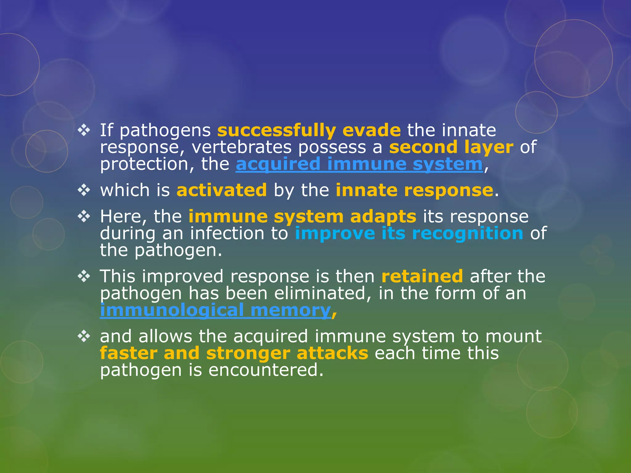  If pathogens successfully evade the innate
response, vertebrates possess a second layer of
protection, the acquired immune system,
 which is activated by the innate response.
 Here, the immune system adapts its response
during an infection to improve its recognition of
the pathogen.
 This improved response is then retained after the
pathogen has been eliminated, in the form of an
immunological memory,
 and allows the acquired immune system to mount
faster and stronger attacks each time this
pathogen is encountered.
 