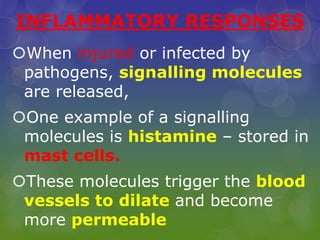 INFLAMMATORY RESPONSES
When injured or infected by
pathogens, signalling molecules
are released,
One example of a signalling
molecules is histamine – stored in
mast cells.
These molecules trigger the blood
vessels to dilate and become
more permeable
 