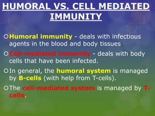 HUMORAL VS. CELL MEDIATED
IMMUNITY
Humoral immunity - deals with infectious
agents in the blood and body tissues
Cell-mediated immunity - deals with body
cells that have been infected.
In general, the humoral system is managed
by B-cells (with help from T-cells).
The cell-mediated system is managed by T-
cells.
 