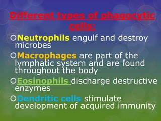 Different types of phagocytic
cells:
Neutrophils engulf and destroy
microbes
Macrophages are part of the
lymphatic system and are found
throughout the body
Eosinophils discharge destructive
enzymes
Dendritic cells stimulate
development of acquired immunity
 