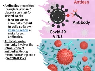 • Antibodies transmitted
through colostrum /
placenta only last for
several weeks
• long enough to
allow baby to start
to build up its own
immune system &
make its own
antibodies.
• Artificial passive
immunity involves the
introduction of
antibodies through
means such as injection
- VACCINATIONS.
 
