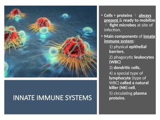 INNATE IMMUNE SYSTEMS
• Cells + proteins  always
present & ready to mobilize
 fight microbes at site of
infection.
• Main components of innate
immune system:
1) physical epithelial
barriers,
2) phagocytic leukocytes
(WBC)
3) dendritic cells,
4) a special type of
lymphocyte (type of
WBC) called a natural
killer (NK) cell,
5) circulating plasma
proteins.
 