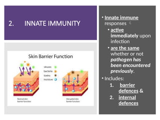 2. INNATE IMMUNITY
• Innate immune
responses 
• active
immediately upon
infection
• are the same
whether or not
pathogen has
been encountered
previously.
• Includes:
1. barrier
defences &
2. internal
defences
 