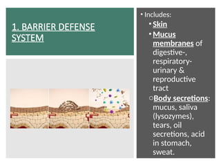 1. BARRIER DEFENSE
SYSTEM
• Includes:
•Skin
•Mucus
membranes of
digestive-,
respiratory-
urinary &
reproductive
tract
oBody secretions:
mucus, saliva
(lysozymes),
tears, oil
secretions, acid
in stomach,
sweat.
 