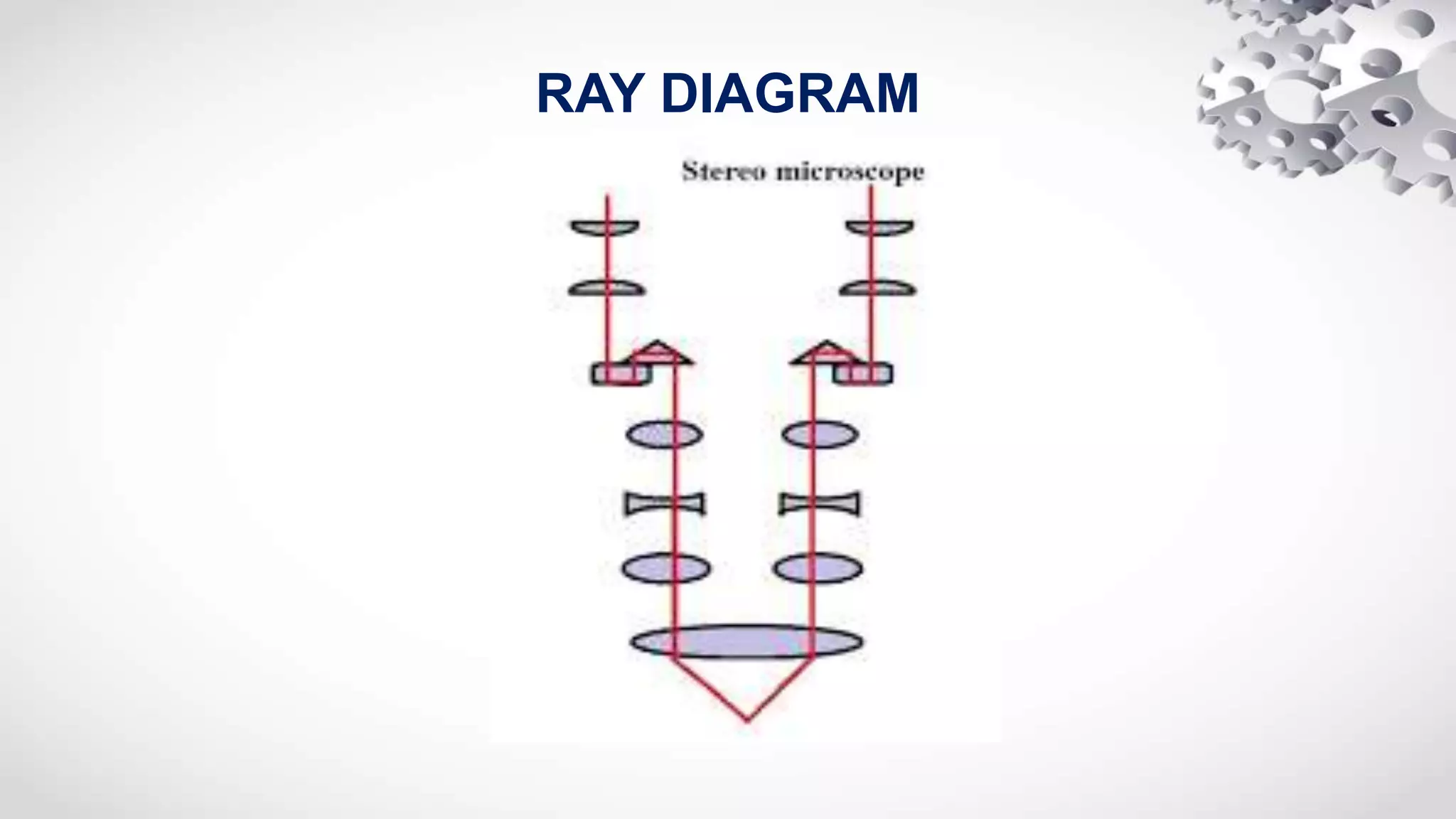 RAY DIAGRAM
 