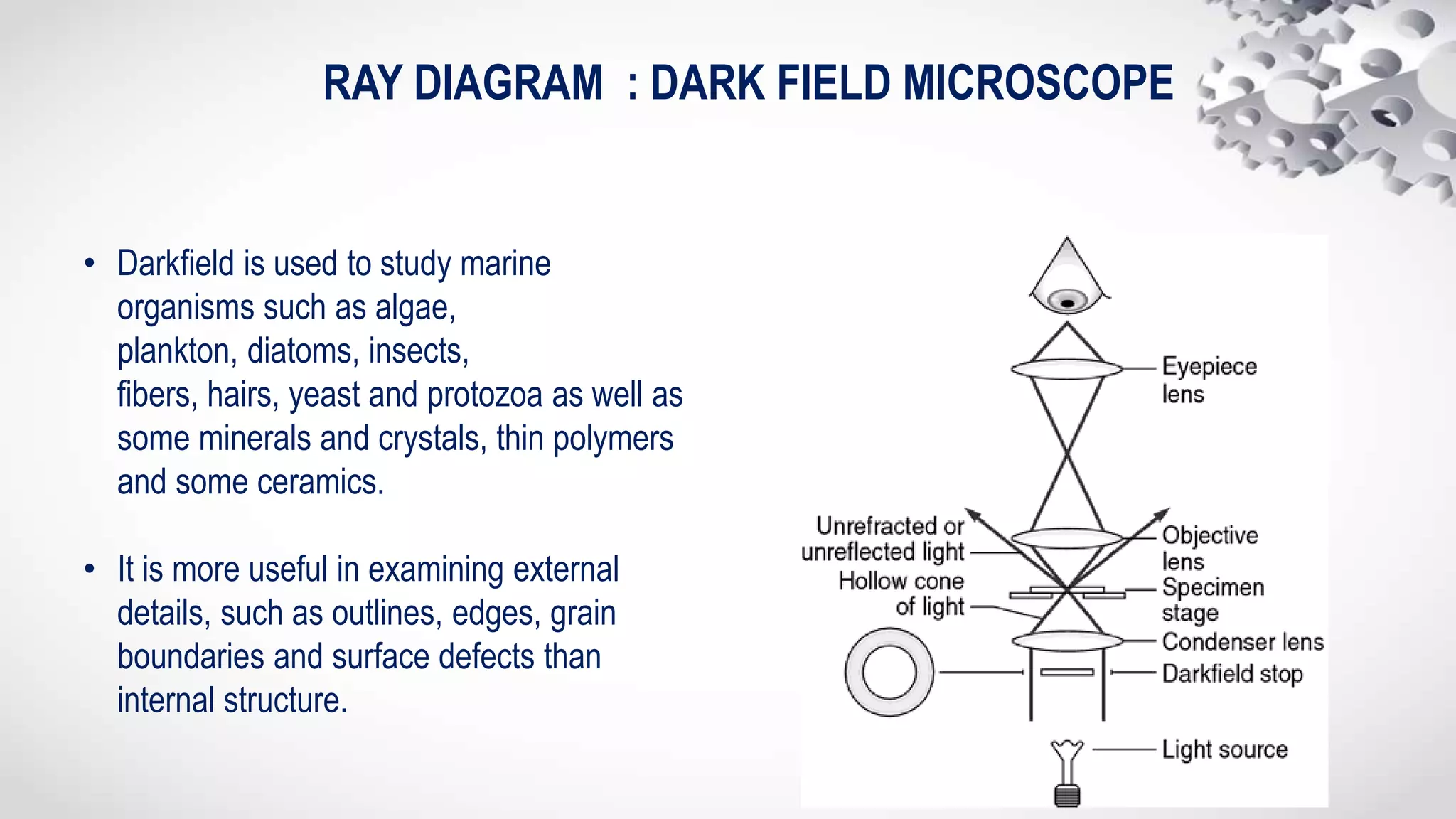RAY DIAGRAM : DARK FIELD MICROSCOPE
• Darkfield is used to study marine
organisms such as algae,
plankton, diatoms, insects,
fibers, hairs, yeast and protozoa as well as
some minerals and crystals, thin polymers
and some ceramics.
• It is more useful in examining external
details, such as outlines, edges, grain
boundaries and surface defects than
internal structure.
 