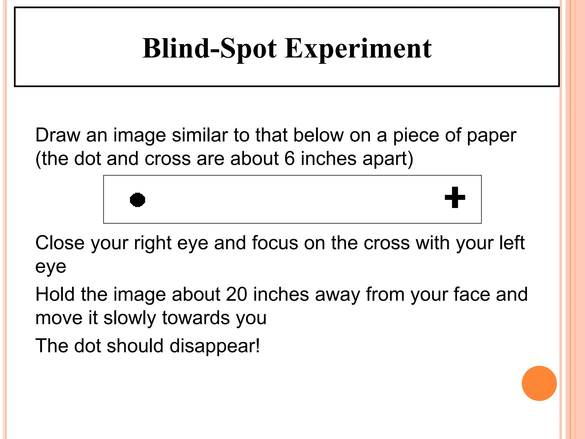 Draw an image similar to that below on a piece of paper
(the dot and cross are about 6 inches apart)
Close your right eye and focus on the cross with your left
eye
Hold the image about 20 inches away from your face and
move it slowly towards you
The dot should disappear!
Blind-Spot Experiment
 