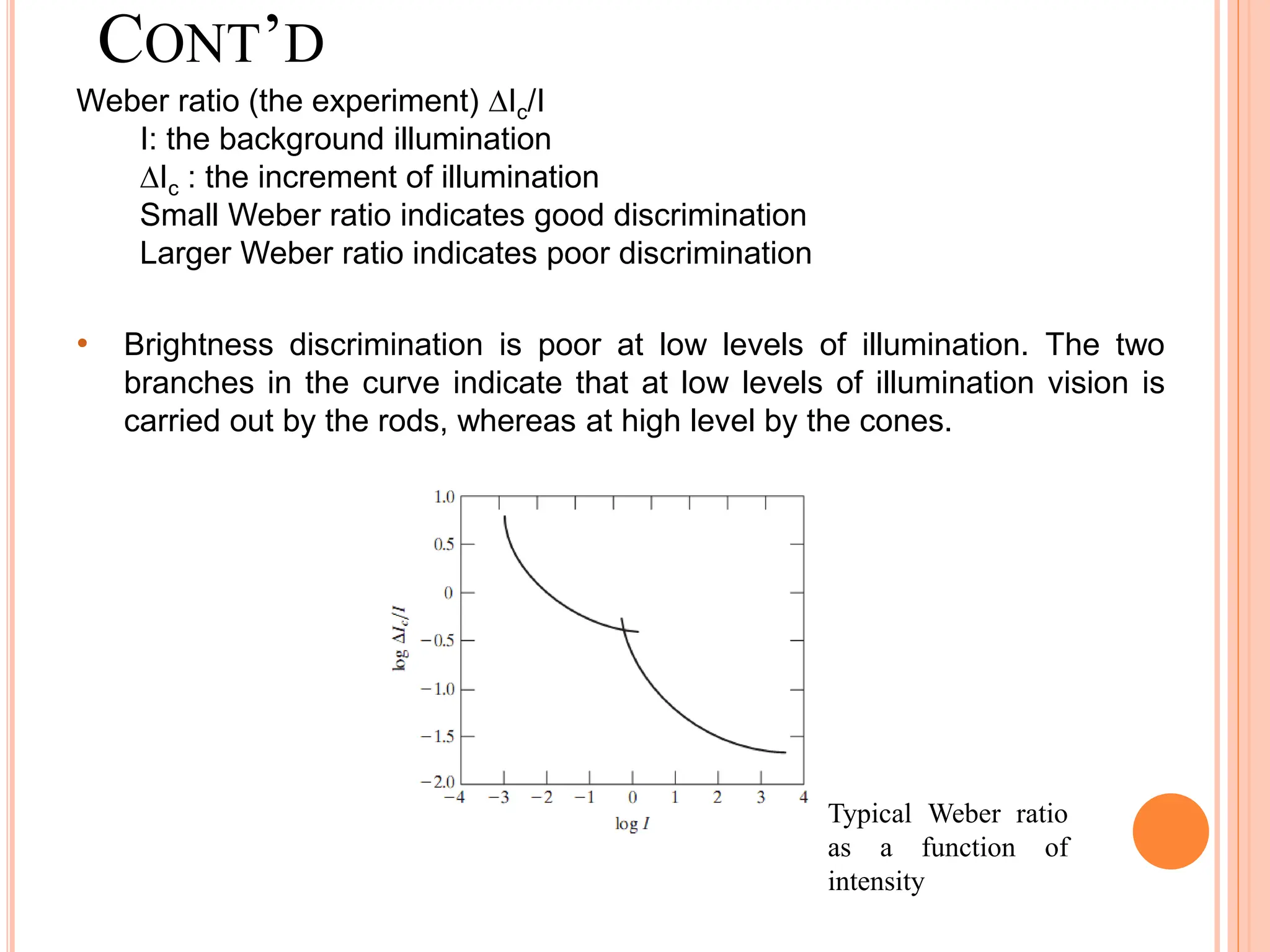 Typical Weber ratio
as a function of
intensity
CONT’D
Weber ratio (the experiment) Ic/I
I: the background illumination
Ic : the increment of illumination
Small Weber ratio indicates good discrimination
Larger Weber ratio indicates poor discrimination
• Brightness discrimination is poor at low levels of illumination. The two
branches in the curve indicate that at low levels of illumination vision is
carried out by the rods, whereas at high level by the cones.
 