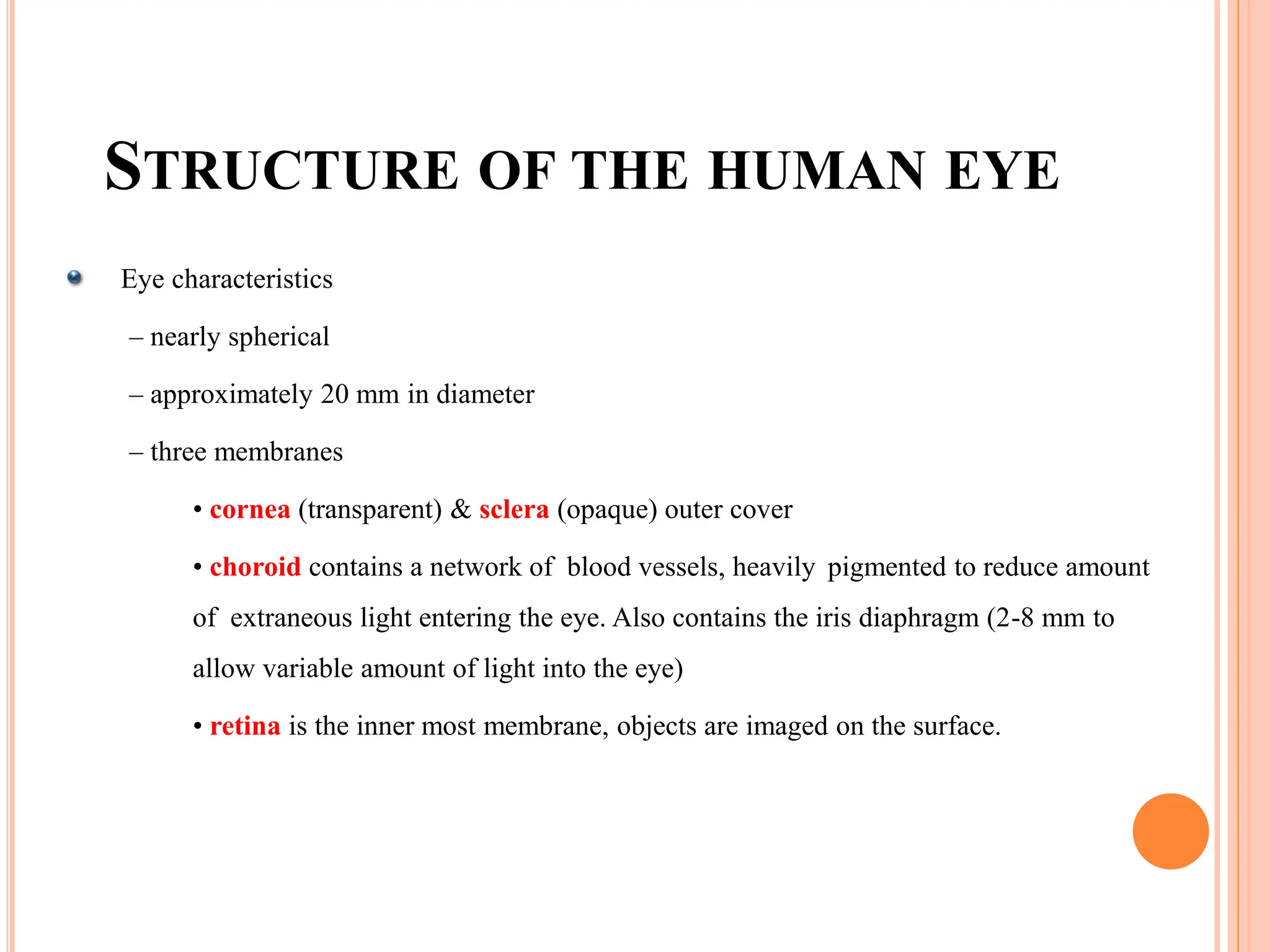 STRUCTURE OF THE HUMAN EYE
Eye characteristics
– nearly spherical
– approximately 20 mm in diameter
– three membranes
• cornea (transparent) & sclera (opaque) outer cover
• choroid contains a network of blood vessels, heavily pigmented to reduce amount
of extraneous light entering the eye. Also contains the iris diaphragm (2-8 mm to
allow variable amount of light into the eye)
• retina is the inner most membrane, objects are imaged on the surface.
 