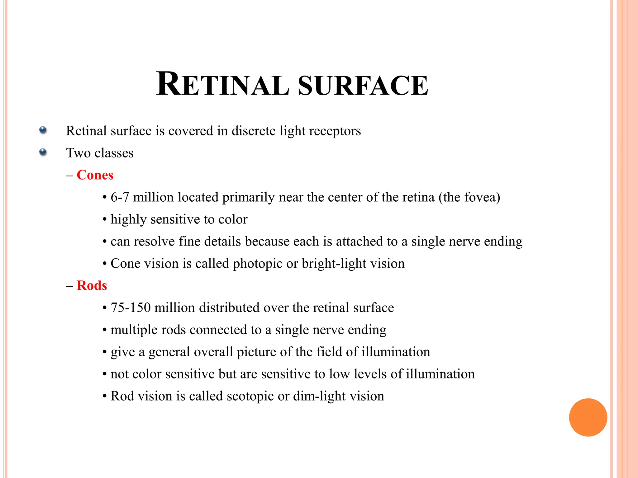 RETINAL SURFACE
Retinal surface is covered in discrete light receptors
Two classes
– Cones
• 6-7 million located primarily near the center of the retina (the fovea)
• highly sensitive to color
• can resolve fine details because each is attached to a single nerve ending
• Cone vision is called photopic or bright-light vision
– Rods
• 75-150 million distributed over the retinal surface
• multiple rods connected to a single nerve ending
• give a general overall picture of the field of illumination
• not color sensitive but are sensitive to low levels of illumination
• Rod vision is called scotopic or dim-light vision
 
